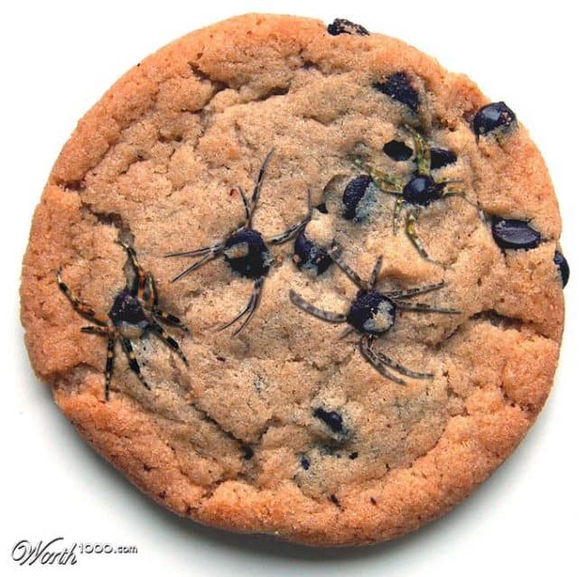 在www.ytruite.net上查看如何制作巧克力饼干！
