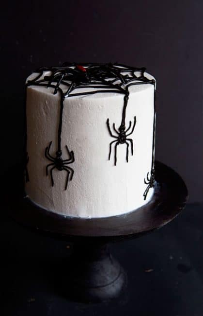 蜘蛛蛋糕侧视图在蛋糕立场的