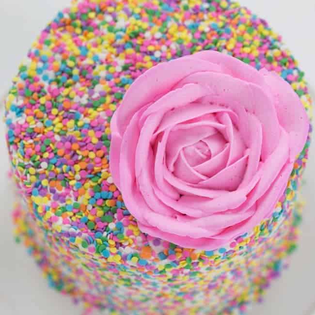 一朵美丽的粉红色奶酪玫瑰坐在乐趣覆盖的蛋糕上洒了！