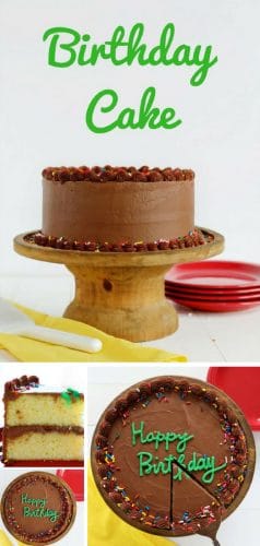 完美的生日蛋糕食谱，由黄色蛋糕制成，并搭配最好的自制巧克力奶油！您的生日孩子一定会喜欢的！#birthdaycake #birthday #Cake在www.ytruite.net上更简单，更有创意的烤甜点！