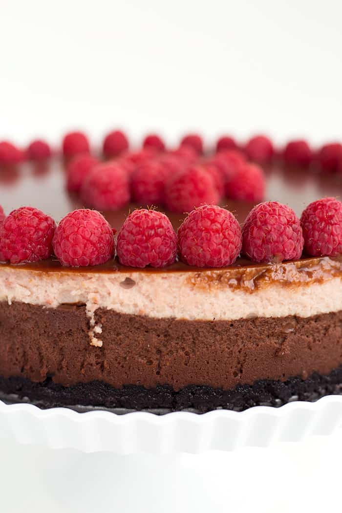 巧克力树莓芝士蛋糕食谱